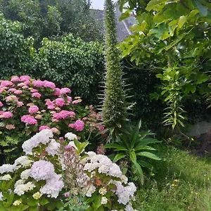 Maison Avec Jardin Proche Hébergement de vacances Penmarcʼh